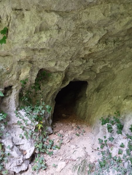 Antheuil - grotte oubliée supérieure - entrée cavité photo 3, Aurélien Bloch.jpg
Fichier manquant